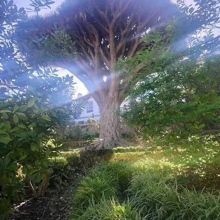 Romantisches Haus In Der Historischen Altstadt Von Orotava * La Orotava