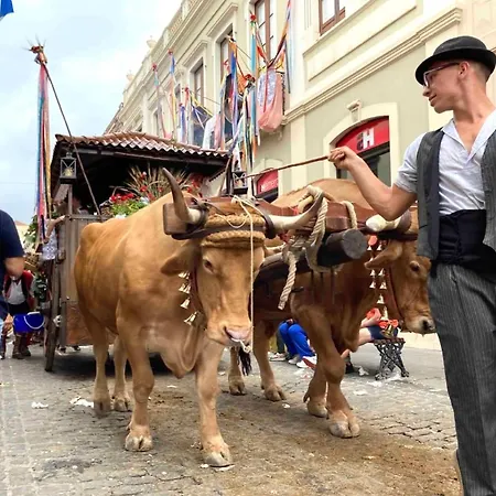 Romantisches Haus In Der Historischen Altstadt Von Orotava * La Orotava