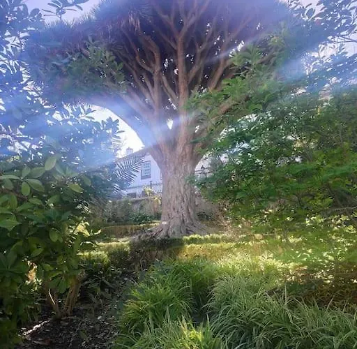 Romantisches Haus In Der Historischen Altstadt Von Orotava * La Orotava